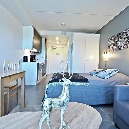 Lomavuokra Skistudio Star Леви