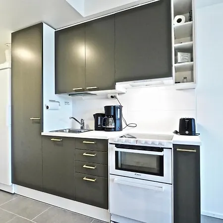 Lomavuokra Skistudio Star *