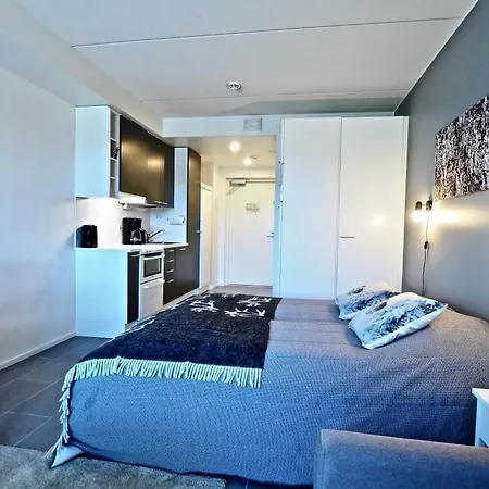 Apartment Levi, Keskusta Huoneisto H301 Ja H302