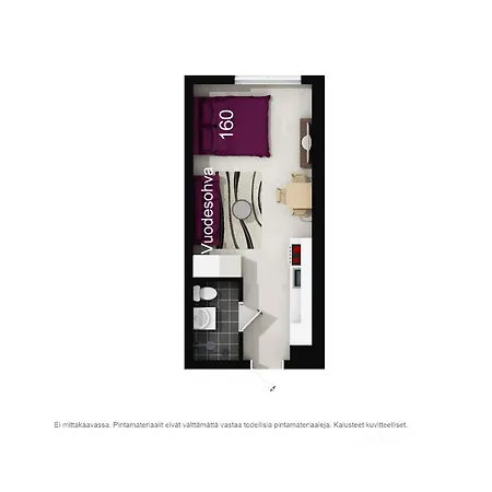 Lomavuokra Skistudio Star Levi