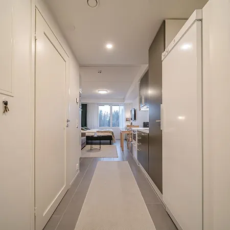 Lomavuokra Skistudio Star Levi