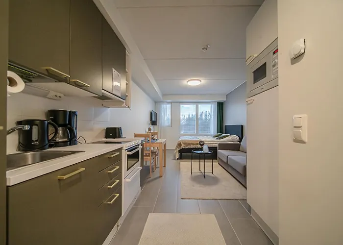 Lomavuokra Skistudio Star *